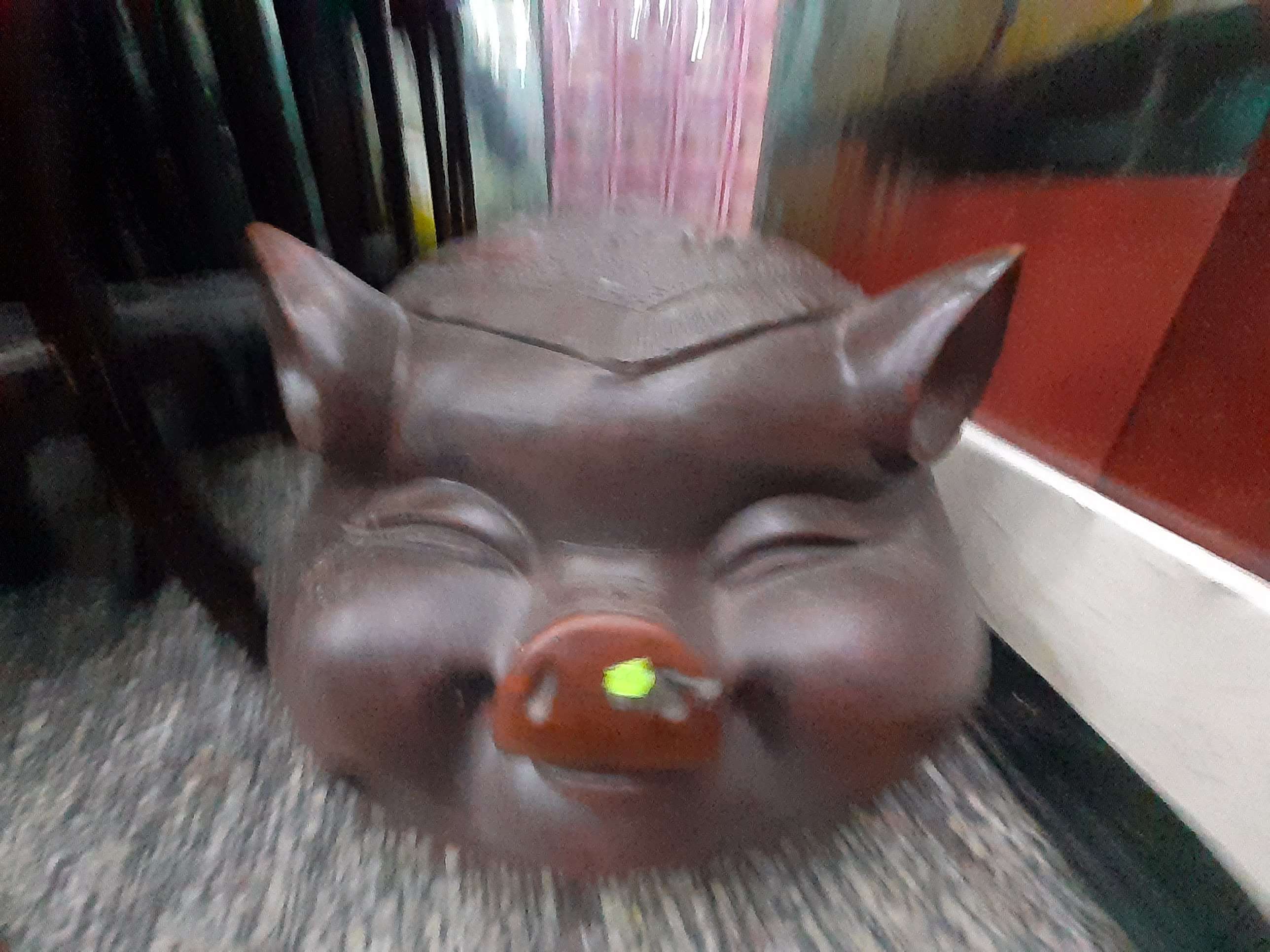 pig