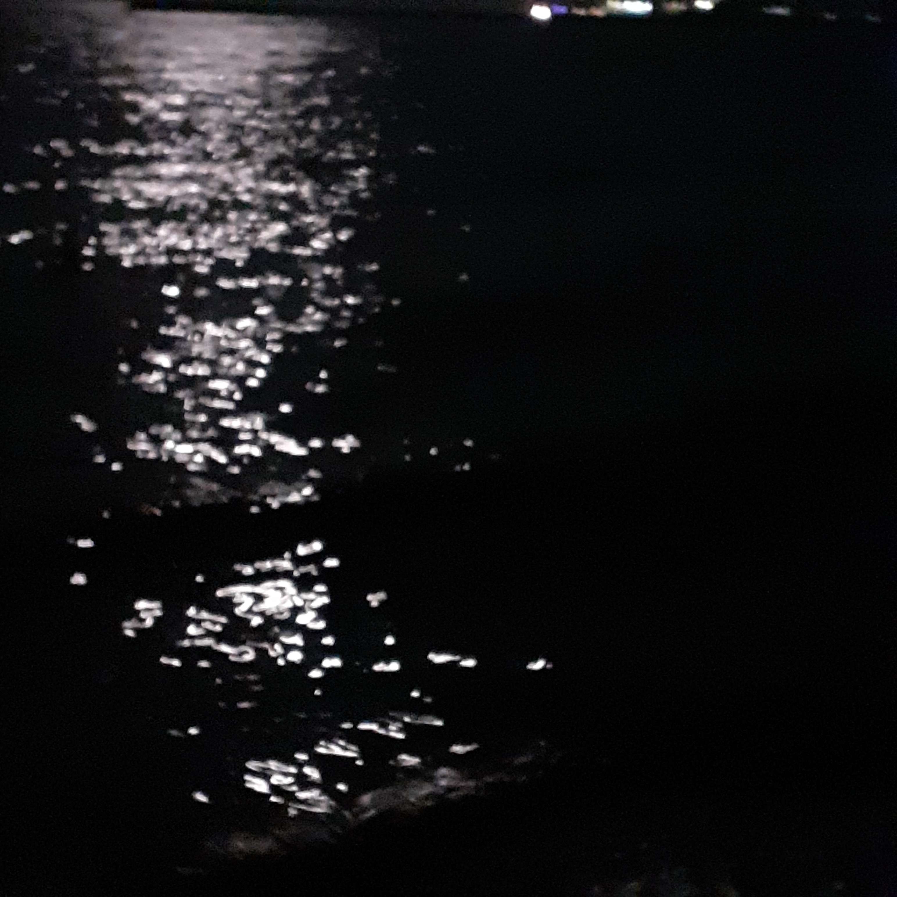 sea