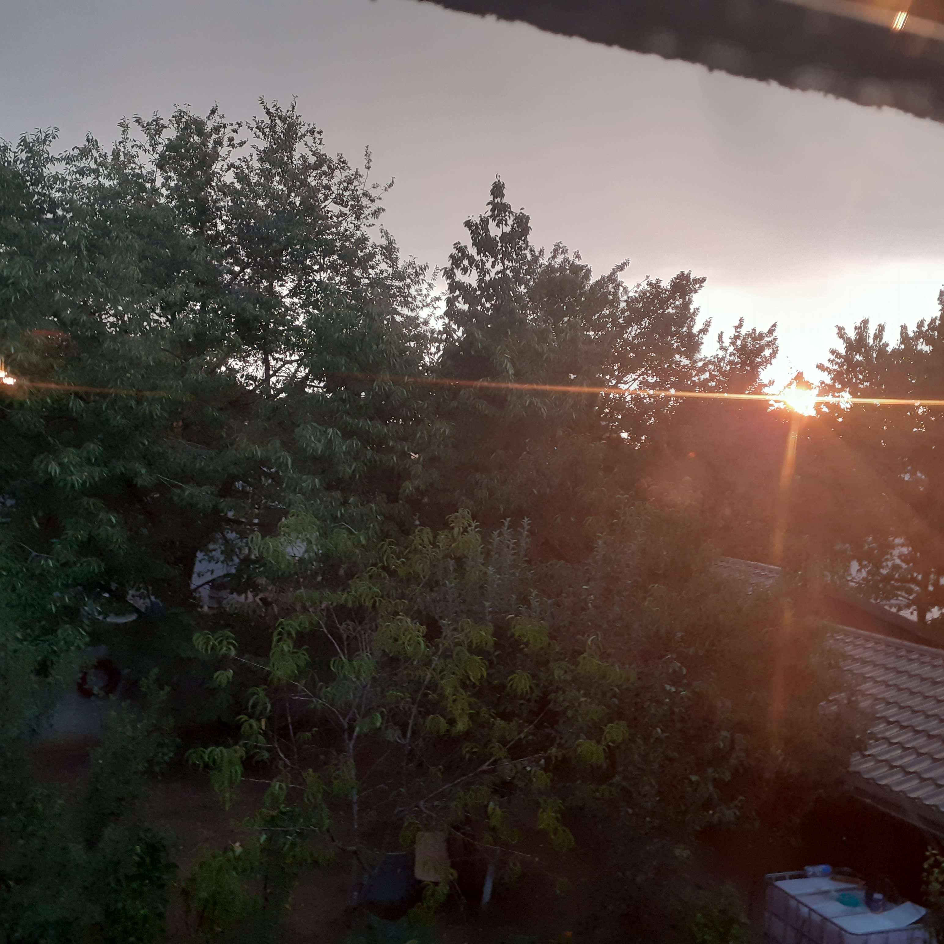 sun